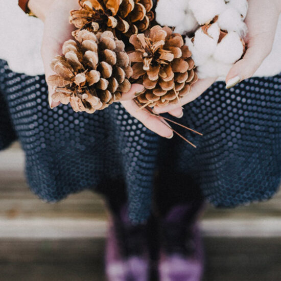 visions of beauty