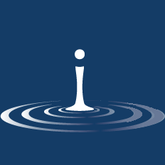 Digital Influential